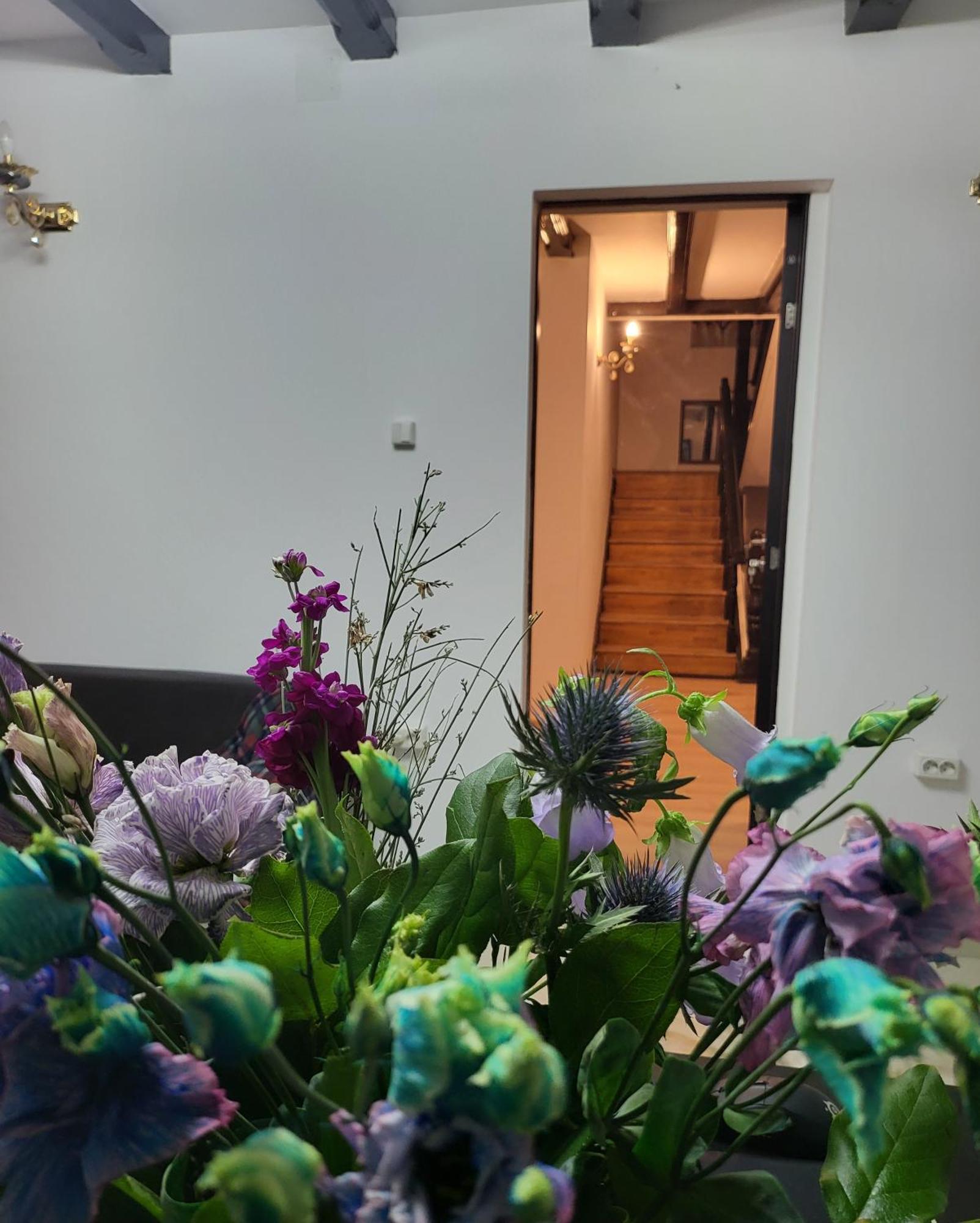 Adac Boutique Hotel Pantelimon Bagian luar foto